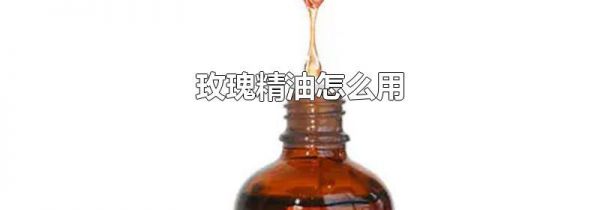 玫瑰精油怎么用