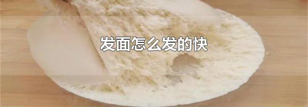 发面怎么发的快