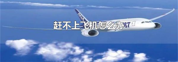 赶不上飞机怎么办