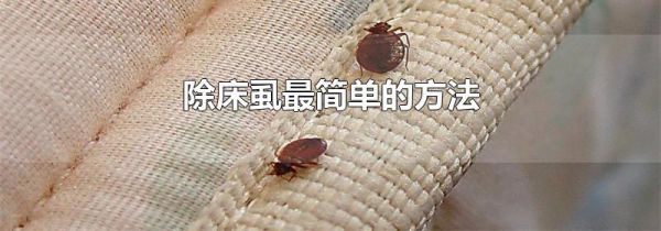 除床虱最简单的方法
