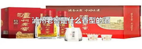 泸州老窖是什么香型的酒