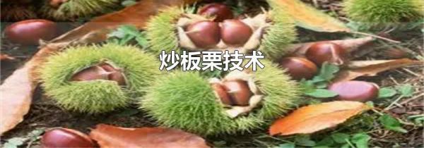炒板栗技术