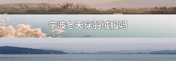 宁波冬天穿羽绒服吗