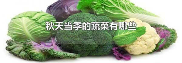 秋天当季的蔬菜有哪些
