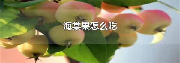 海棠果怎么吃