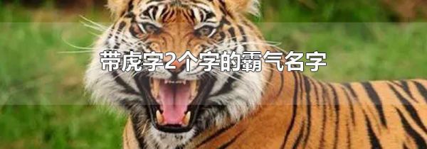 带虎字2个字的霸气名字