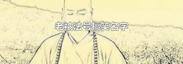 老衲法号搞笑名字