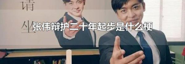 张伟辩护二十年起步是什么梗
