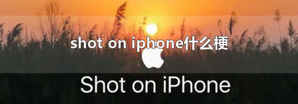 shot on iphone什么梗