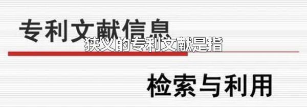 狭义的专利文献是指