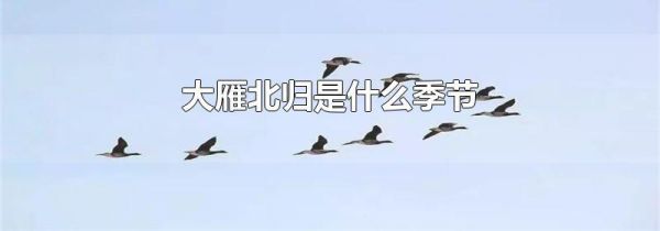 大雁北归是什么季节