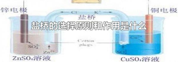 盐桥的选择原则和作用是什么