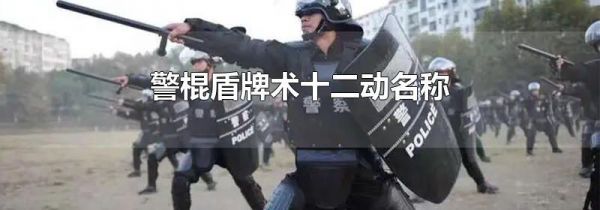 警棍盾牌术十二动名称