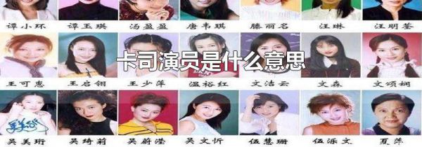 卡司演员是什么意思