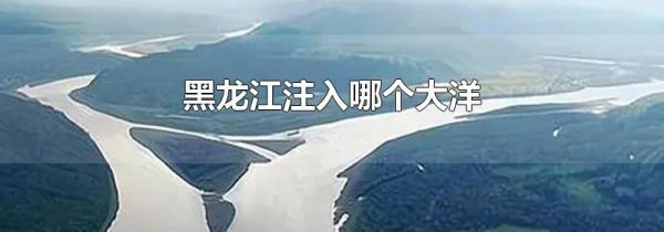 黑龙江注入哪个大洋