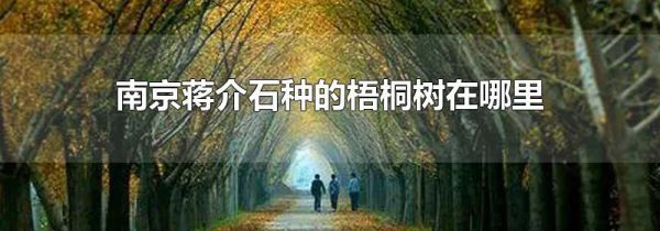 南京蒋介石种的梧桐树在哪里