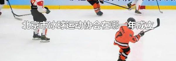北京市冰球运动协会在哪一年成立