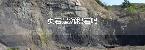 页岩是沉积岩吗