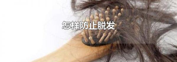 怎样防止脱发