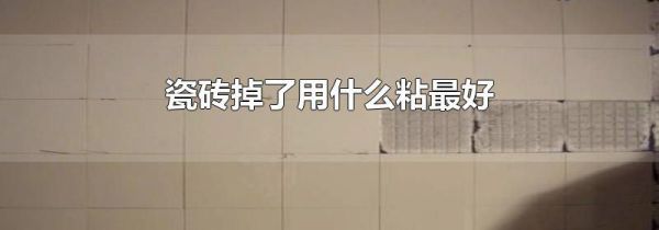 瓷砖掉了用什么粘最好