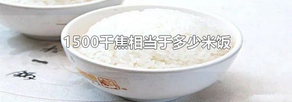 1500千焦相当于多少米饭