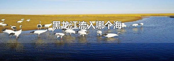 黑龙江流入哪个海