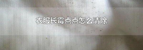 衣服长霉点点怎么清除