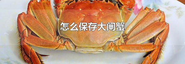 怎么保存大闸蟹