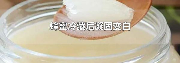 蜂蜜冷藏后凝固变白