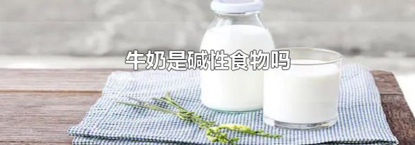 牛奶是碱性食物吗