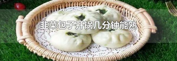 韭菜包子开锅几分钟能熟
