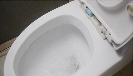 马桶滋生细菌