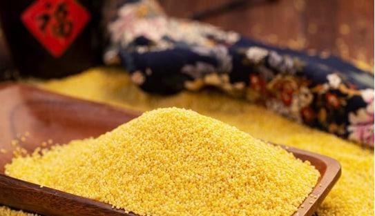 粮食小米哪里好