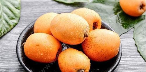 枇杷果保存方法是怎么样的