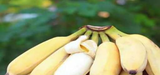 怎么最快催熟苹果蕉