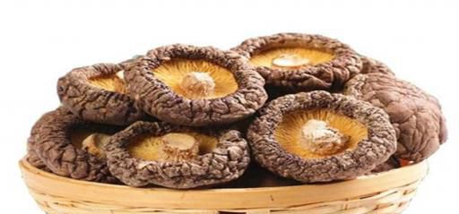 野生干蘑菇的正确泡发方法是怎么样的