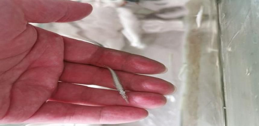水银针打破了怎么清理比较好