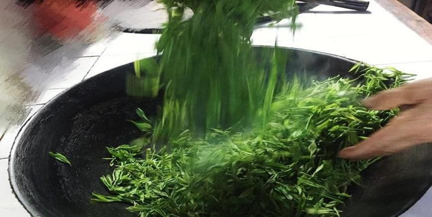 自己摘的茶叶怎么制作最好