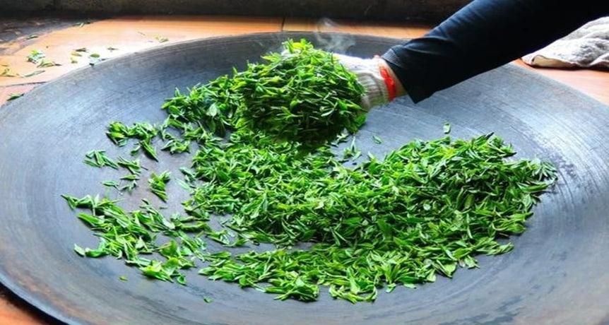 茶叶是怎么制作的