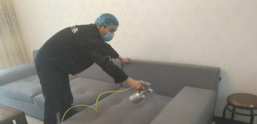 如何快速去除屋内甲醛