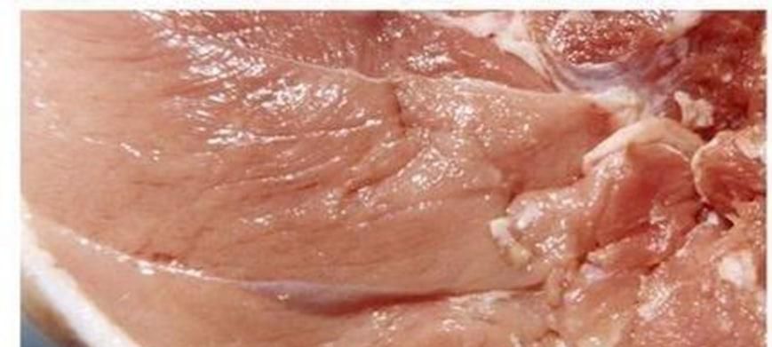怎么往肉里注水不被发现