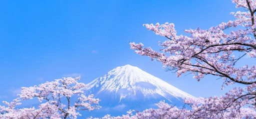 日本面积具体有多大