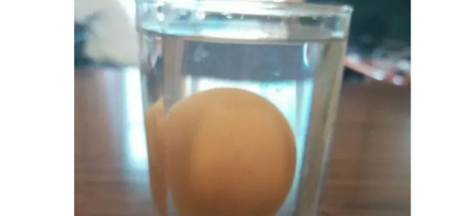 鸡蛋为何能在盐水中漂浮起来