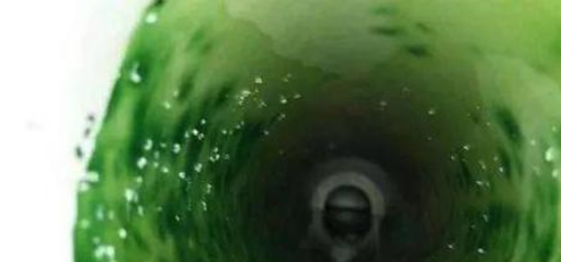 水管中有绿苔该如何清除