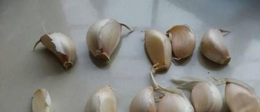 如何在家种大蒜