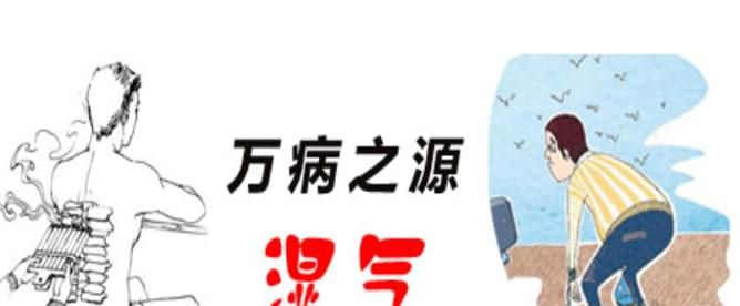 如何快速祛除湿气