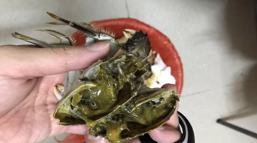 为什么死螃蟹不能吃