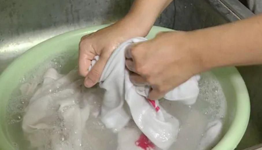 油菜花弄到衣服上能洗掉吗