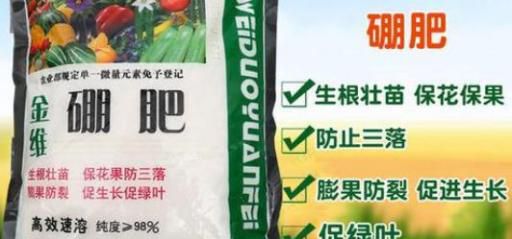 硼肥在果树使用禁忌