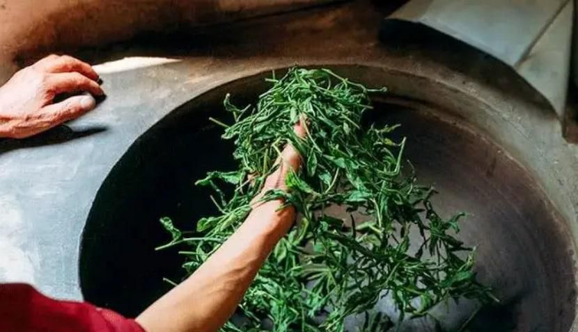 绿茶怎么制作